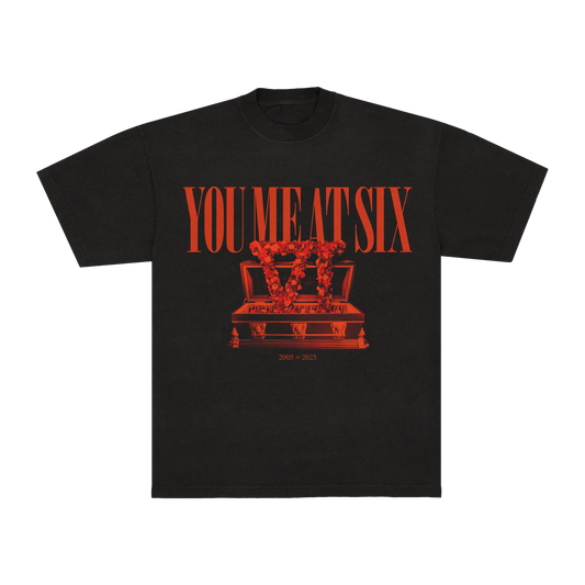 This Is The End - VI Tee